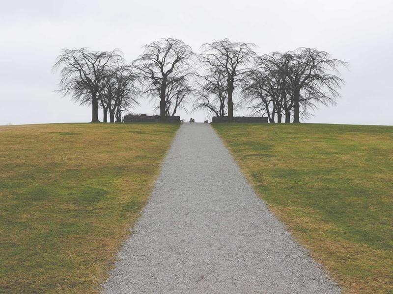 홍대 라멘 전문점 매물 사진