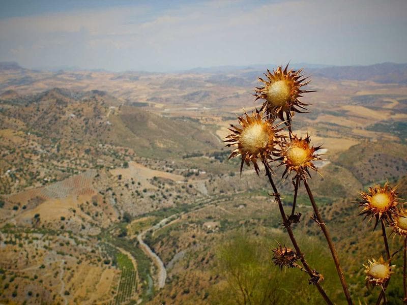 마포 영어학원 매물 사진